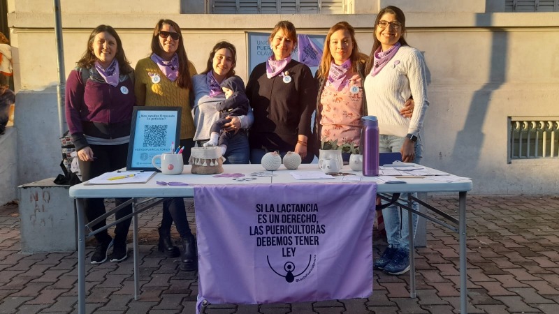 Puericultoras locales pidieron por la Ley Nacional en el Congreso